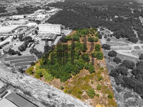 Lote Industrial em Vila Chã de Ourique, Cartaxo