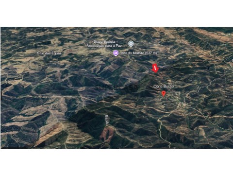 foto terreno 2
