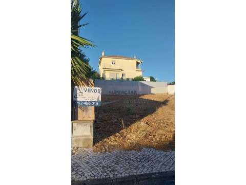 Terreno em Torres Novas (São Pedro), Lapas e Ribeira Branca, Torres Novas