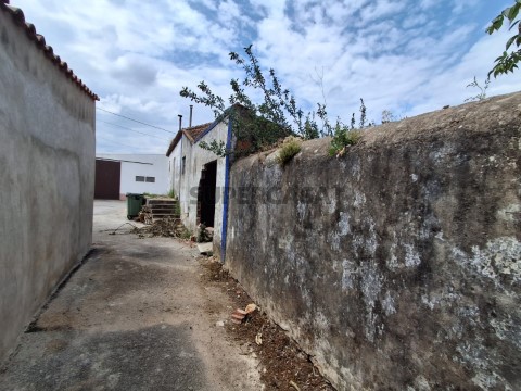 Imóvel com 1.300 m² de Terreno - Antigo Lagar em Parceiros de São João, Concelho de Torres Novas (1)