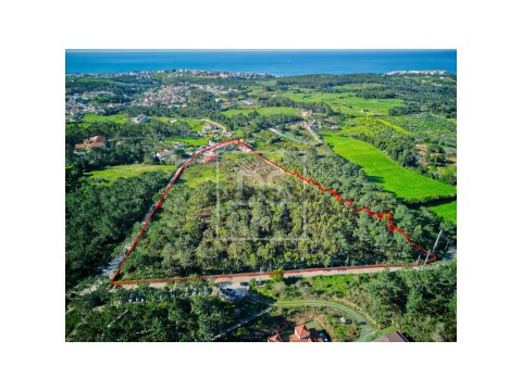 Quinta T3 em Ericeira, Mafra