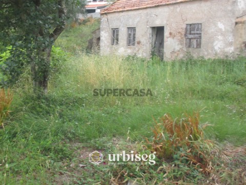 Jardim