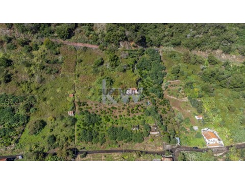 Terreno no Faial, Santana