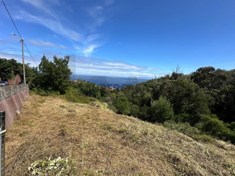 Terreno em Água de Pena, Machico