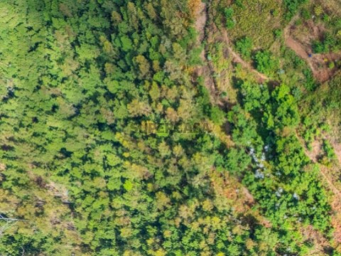 Terreno em Monte, Funchal
