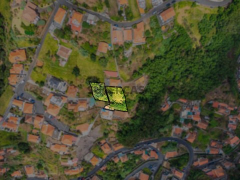 Terreno em Monte, Funchal