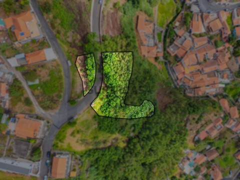 Terreno em Monte, Funchal