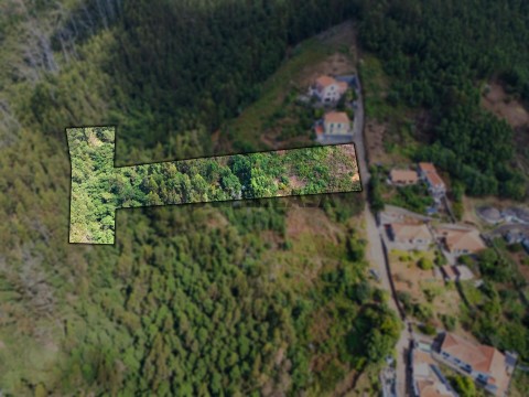 Terreno em Monte, Funchal