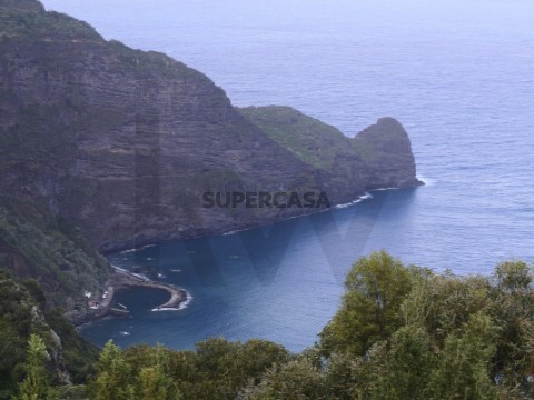 Terreno no Faial, Santana