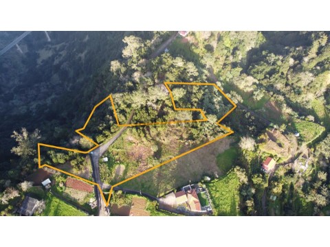Terreno em São Jorge, Santana