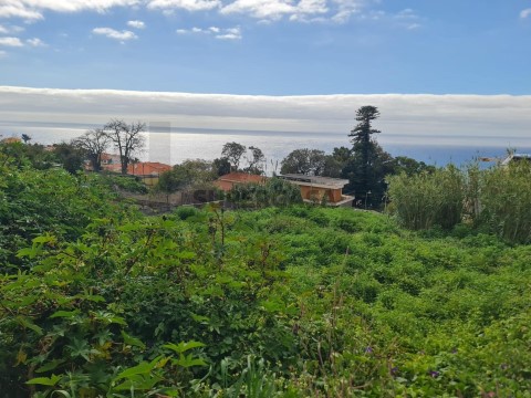Terreno em Santa Maria Maior, Funchal