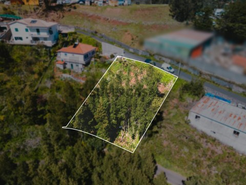 Terreno em Camacha, Santa Cruz