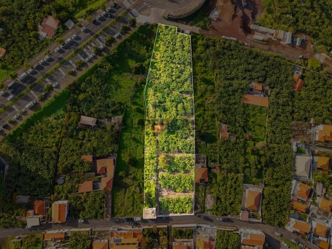 Terreno em São Martinho, Funchal
