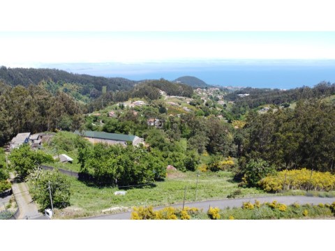 Terreno em Camacha, Santa Cruz