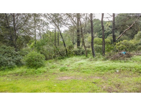 Terreno em Caparica e Trafaria, Almada