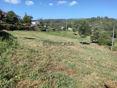 Terreno em Mosteiro da Ribeira
