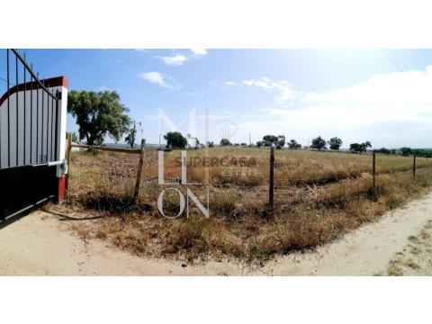 Terreno em Reguengos de Monsaraz, Reguengos de Monsaraz