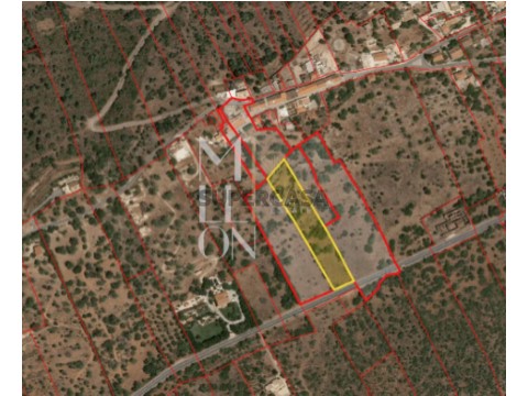 Terreno em São Bartolomeu de Messines, Silves