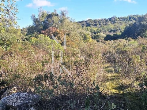 Terreno em Boliqueime, Loulé