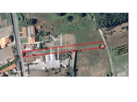 Terreno em Bustos, Troviscal e Mamarrosa, Oliveira do Bairro