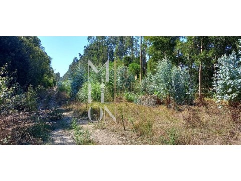Terreno em Santo António, Vagos