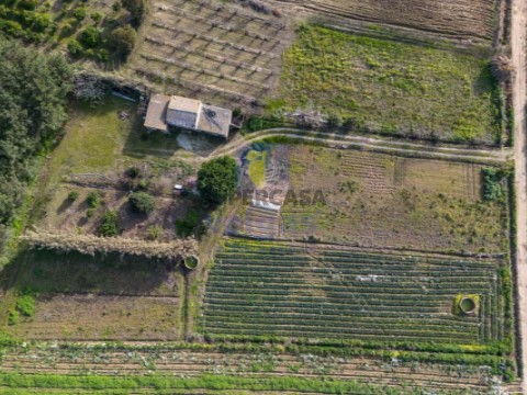Terreno Rústico em Atouguia da Baleia, Peniche