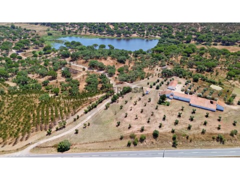 Quinta T11 em Cabrela, Montemor-o-Novo