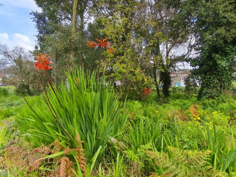 Terreno em Mafra, Mafra