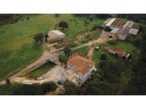 Quinta T7 em Cidade de Santarém, Santarém