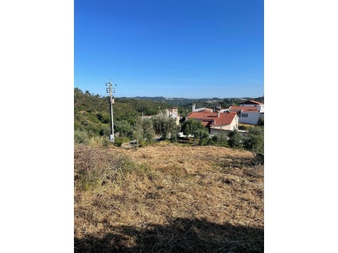 Terreno em Aldeia do Mato e Souto, Abrantes