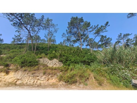Terreno em Carvoeira, Mafra