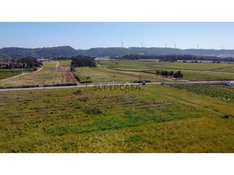 Terreno em Roliça, Bombarral