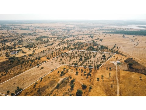 Rustic property with agricultural, residential and tourism potential - 3.12 hectares - Nisa