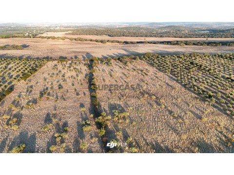 Grundstück auf Barbacena e Vila Fernando, Elvas