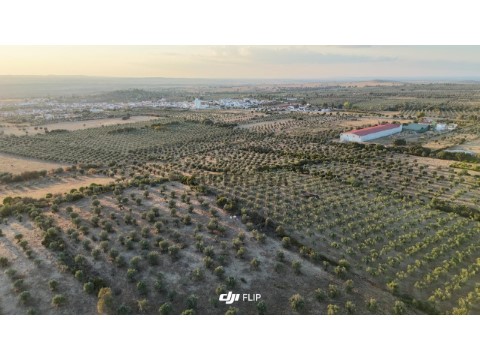 Grundstück auf Barbacena e Vila Fernando, Elvas