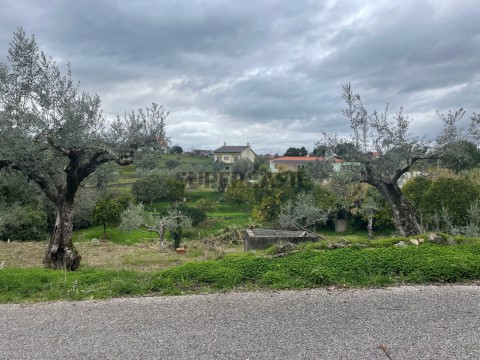 Terreno em Martinchel, Abrantes