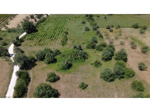 Terreno em Olaia e Paço, Torres Novas