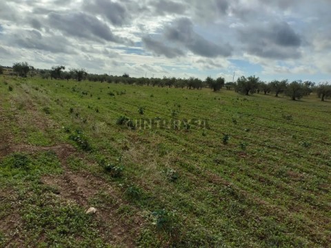 Terreno em Mourão, Mourão