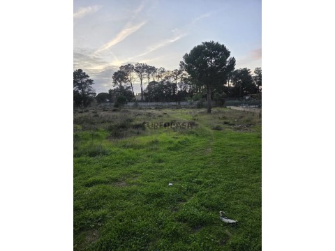 Terreno em Azeitão (São Lourenço e São Simão), Setúbal