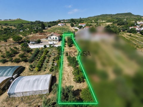 Terreno em Olhalvo, Alenquer
