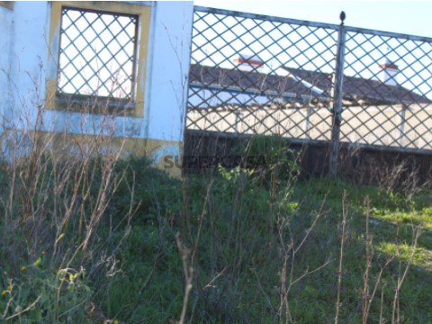 fotos são pedro 001