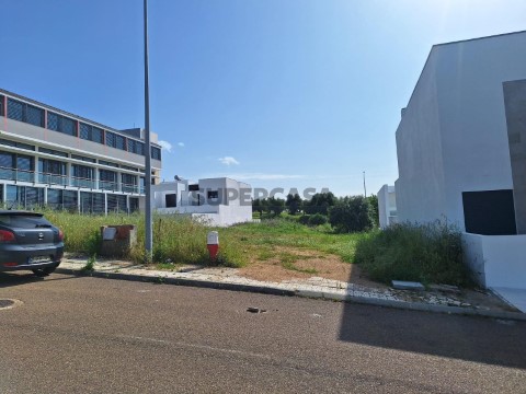 IMG-20240517-WA0007