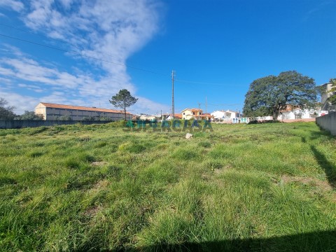 Terreno em Calvaria de Cima, Porto de Mós