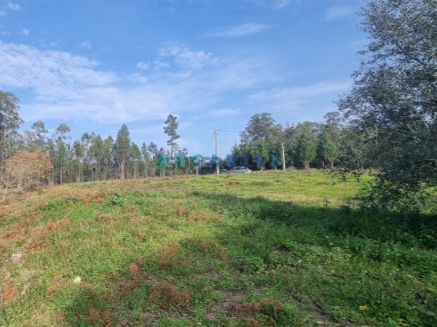Lote em Maceira, Leiria