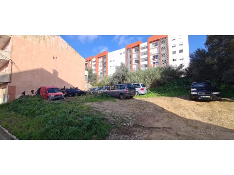 Terreno