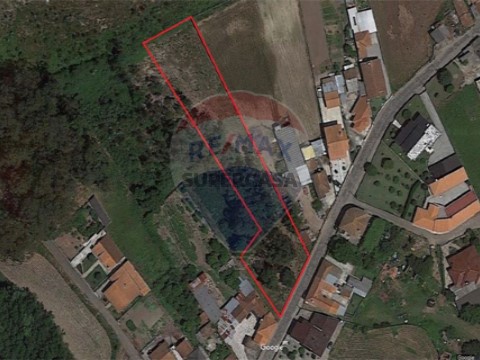 Terreno em Loureiro, Oliveira de Azeméis
