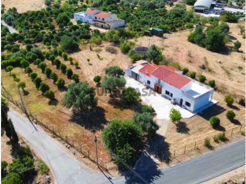 dji_fly_20260714_100404_499_1784024845231_photo_optimized