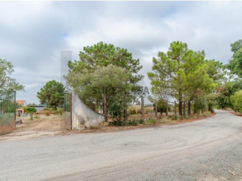 Terreno em Santo António da Charneca, Barreiro