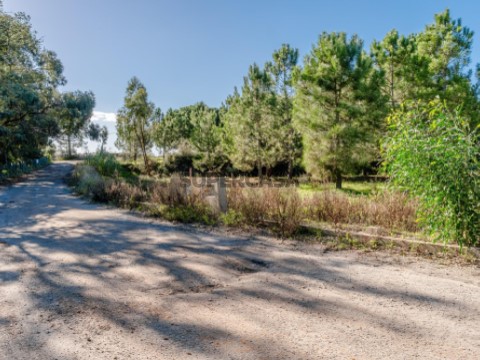 Terreno em Santo António da Charneca, Barreiro