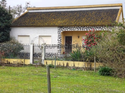 IMG20260309112958